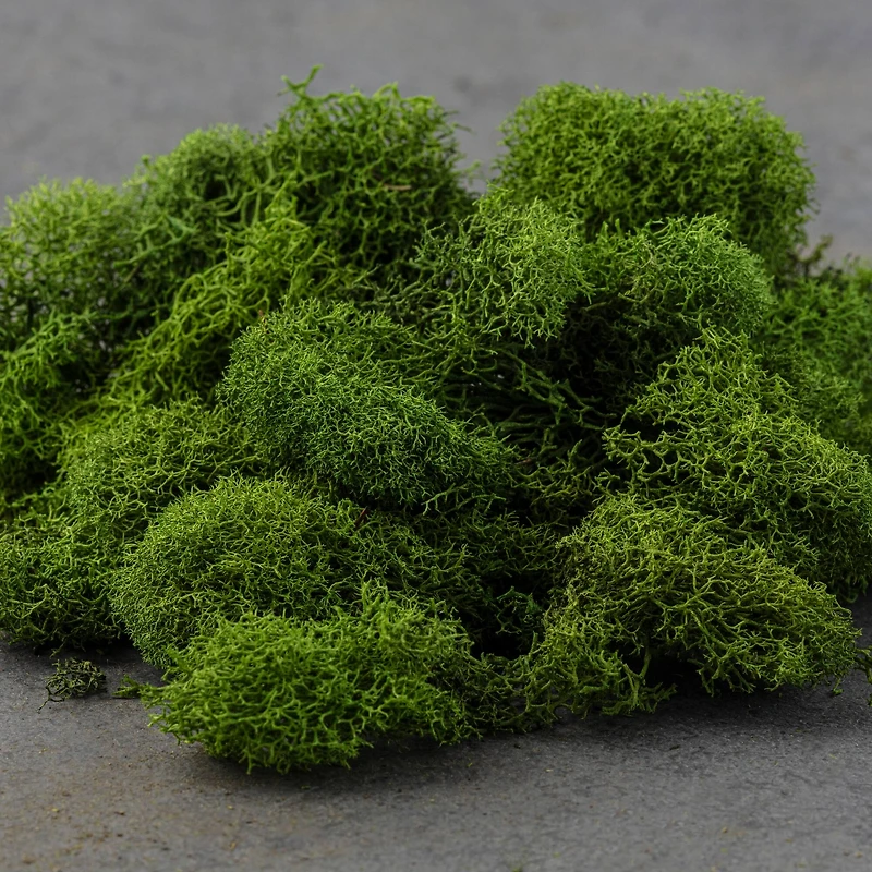 SuperMoss® 8oz. Basil Preserved Reindeer Moss