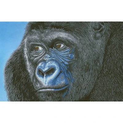 Diamond Dotz® Advanced Kibali Western Lowland Gorilla Diamond Painting Kit