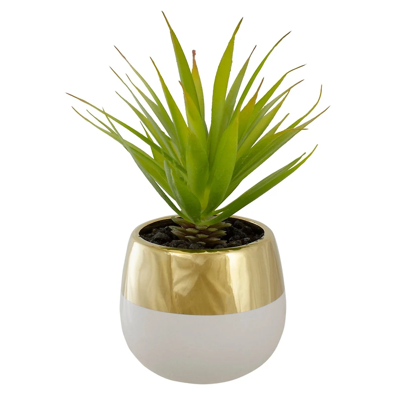 7" Potted Green Sword Grass Plant