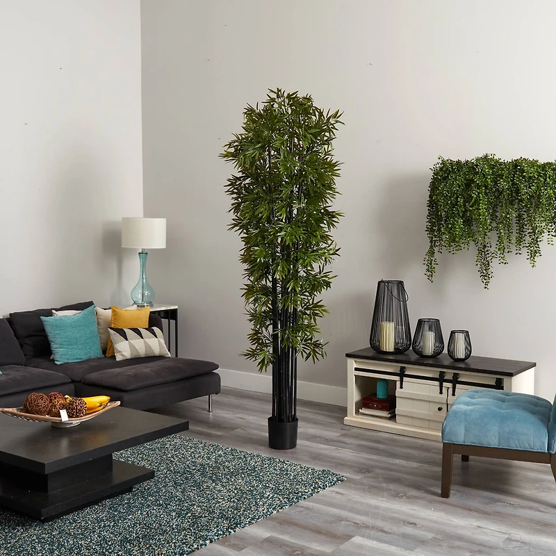 7ft. Potted Bamboo Tree with Black Trunks