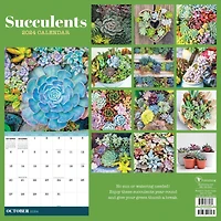 TF Publishing 2024 Succulents Wall Calendar