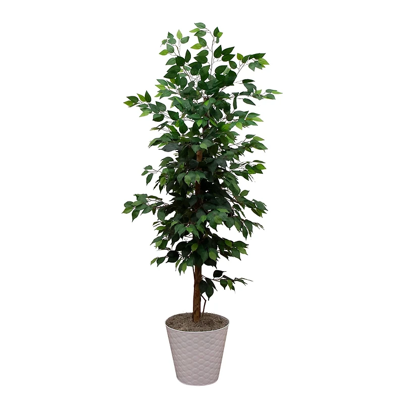 5.5ft. Artificial Ficus Double Stalk Tree in Hexagon Metal Planter