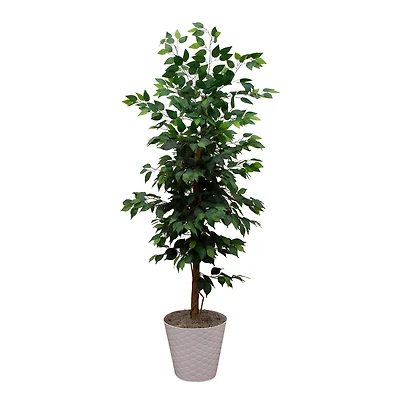 5.5ft. Artificial Ficus Double Stalk Tree in Hexagon Metal Planter