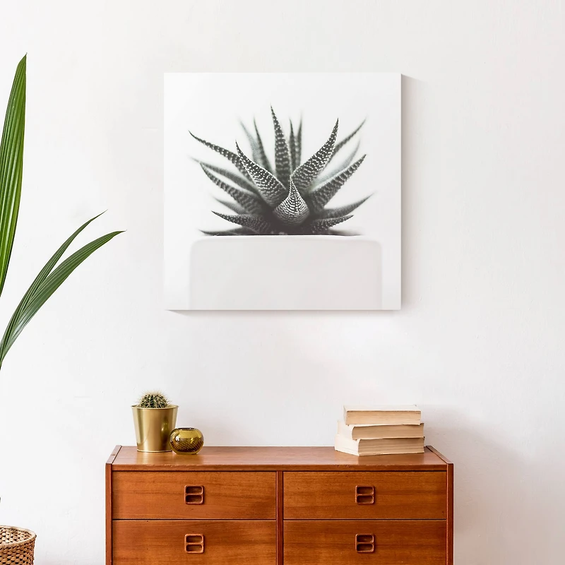 Muted Aloe Plant 20" x 20" Canvas Wall Art