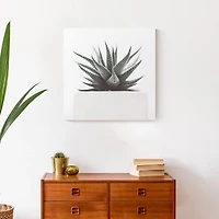 Muted Aloe Plant 20" x 20" Canvas Wall Art