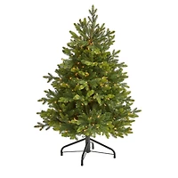 4ft. Pre-Lit North Carolina Fir Artificial Christmas Tree, Clear LED Lights