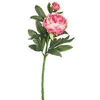 Pink Peony Spray, 3ct.