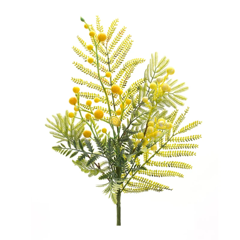 21.5" Yellow Mimosa Leaf Berry Sprays, 6ct.