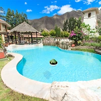 Swimline HydroTools 7.5" Floating Turtle Pool Chlorine Dispenser