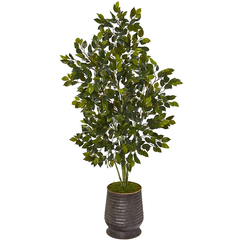 4.5ft. Ficus Tree in Ribbed Metal Planter