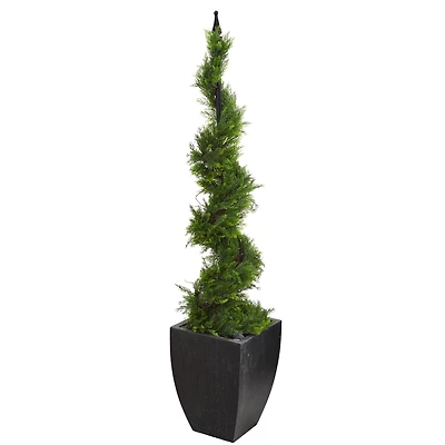 5ft. Cypress Spiral Topiary Tree in Black Planter