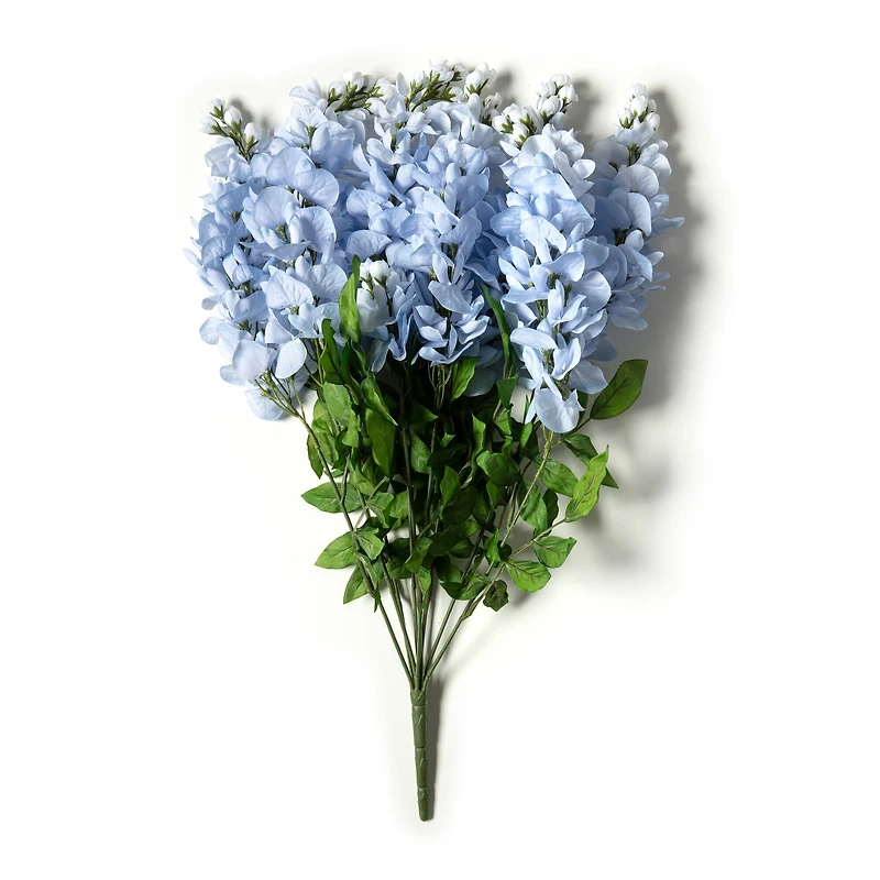 Blue Wisteria Bush by Ashland®