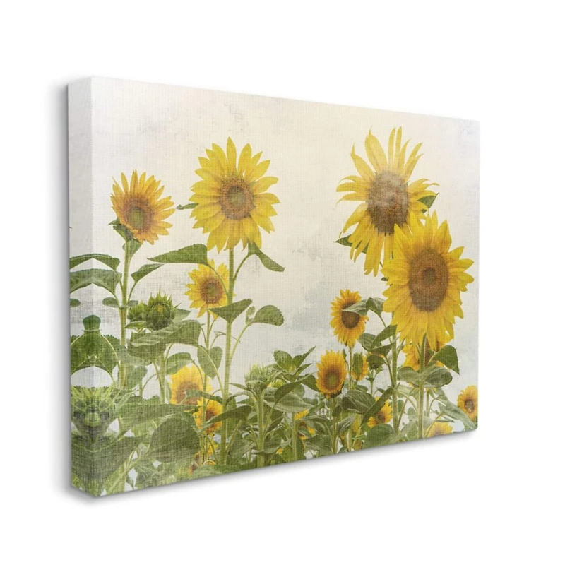 Stupell Industries Sunflower Garden Farm Burlap Textured Design Canvas Wall Art