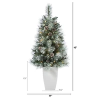 3.5ft. Pre-Lit Frosted British Columbia Mountain Pine Artificial Christmas Tree in White Planter, Clear Lights