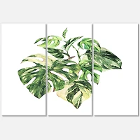 Designart - Tropical Green Leaves In Summer Times I