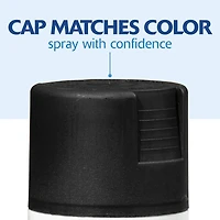 Rust-Oleum® Painter's Touch® 2X Ultra Matte Paint & Primer Spray