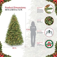 7.5ft. Pre-Lit Douglas Fir Premier Artificial Christmas Tree, Clear Lights