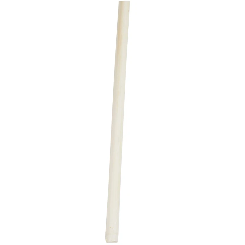 Cream Pampas Grass Stem