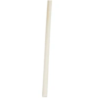 Cream Pampas Grass Stem