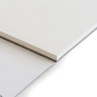 15 Pack: Acrylic Paper Pad by Artist's Loft™, 9" x 12"