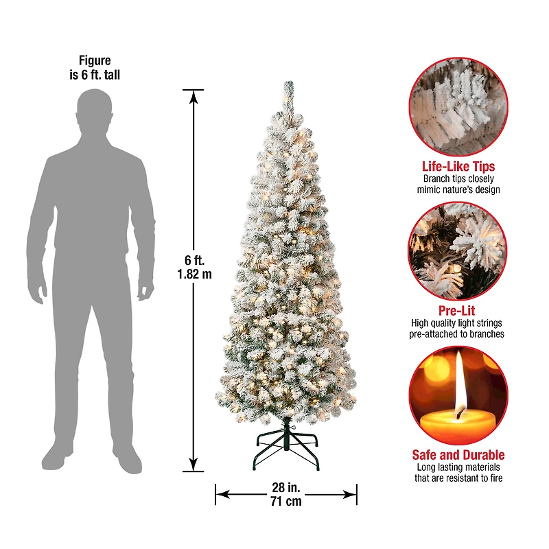 6ft. Pre-Lit Acacia Medium Flocked Artificial Christmas Tree, Clear Lights