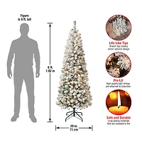 6ft. Pre-Lit Acacia Medium Flocked Artificial Christmas Tree, Clear Lights