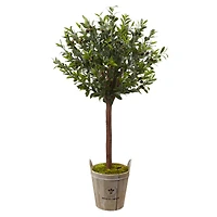 4.5ft. Olive Topiary Tree with Farmhouse Barrel Planter