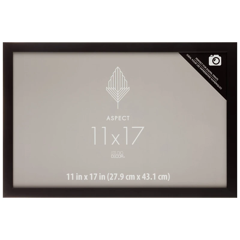 Aspect Black Narrow Frame by Studio Décor