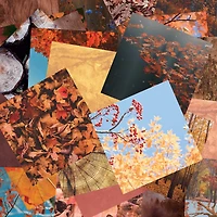 Craft Smith 12" x 12" Autumn Textures Paper Pad