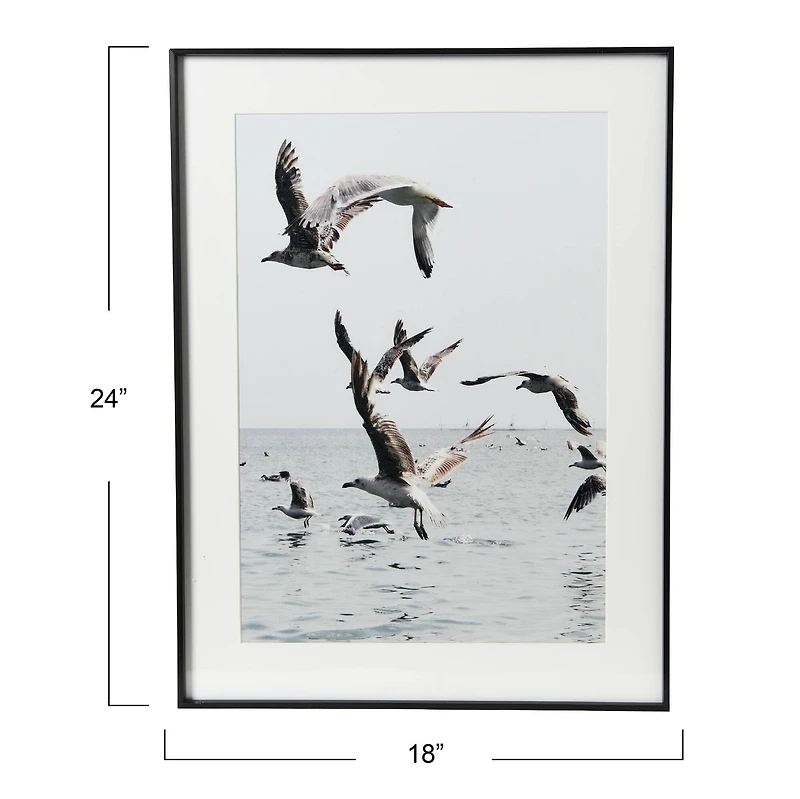 Hello Honey® Framed Seagulls in Flight Photo Print