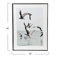 Hello Honey® Framed Seagulls in Flight Photo Print