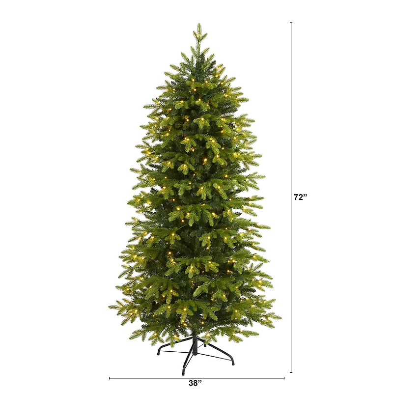 6ft. Pre-Lit Belgium Fir Artificial Christmas Tree, Clear LED Lights