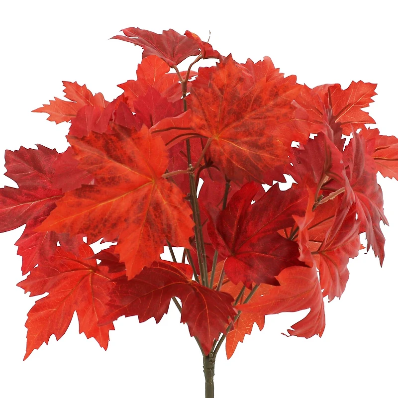 15" Maple Leaf Bush by Ashland