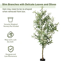 Glitzhome® 6ft. Potted Faux Olive Tree
