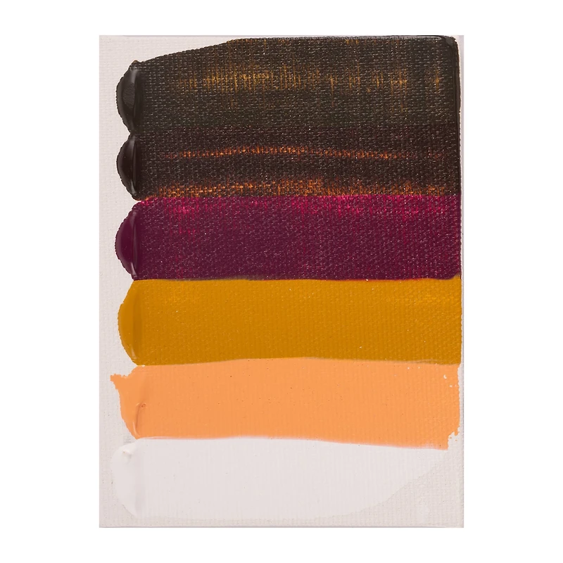 12 Pack: Amsterdam Standard Acrylic Paint