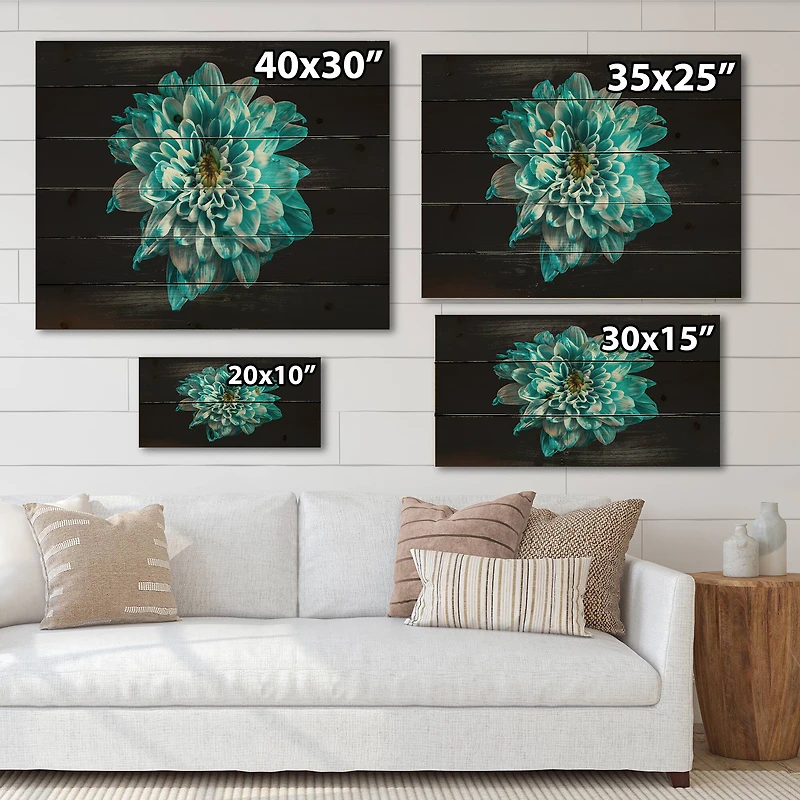 Designart - Close Up Of Flower With Blue and White Petals