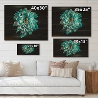 Designart - Close Up Of Flower With Blue and White Petals