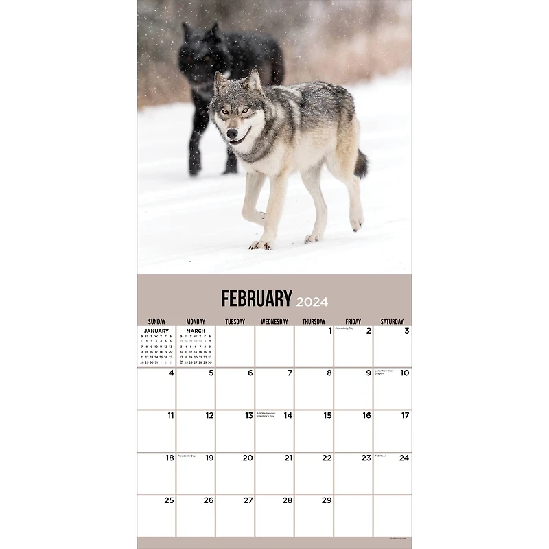 TF Publishing Wolves Wall Calendar