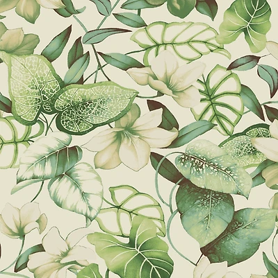Tommy Bahama Windemere Peel & Stick Wallpaper