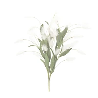 22.5" White Plume Bushes, 2ct.