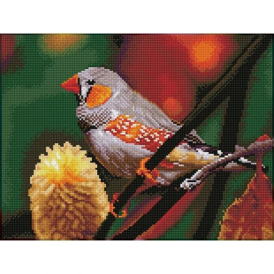 Diamond Dotz® Intermediate Gouldian Finch Diamond Painting Kit