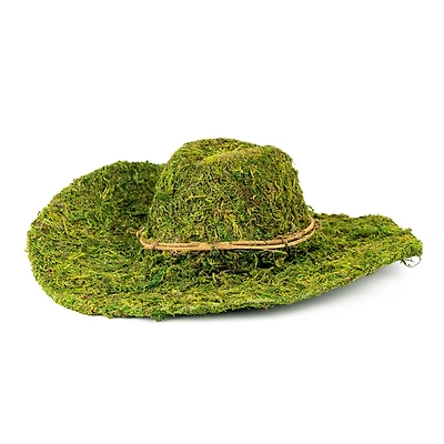13" Decorative Moss Western Hat by Ashland®