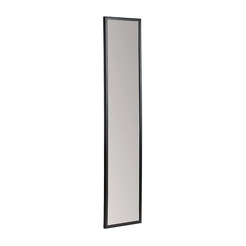 Habitat Trina 48" Black Rectangular Wall Mirror
