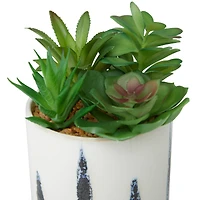 Novogratz Green Faux Foliage Succulent in Patterned Porcelain Pot Set