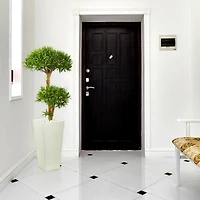 4ft. Green Bonsai Styled Plum Pine Tree in Tower Planter