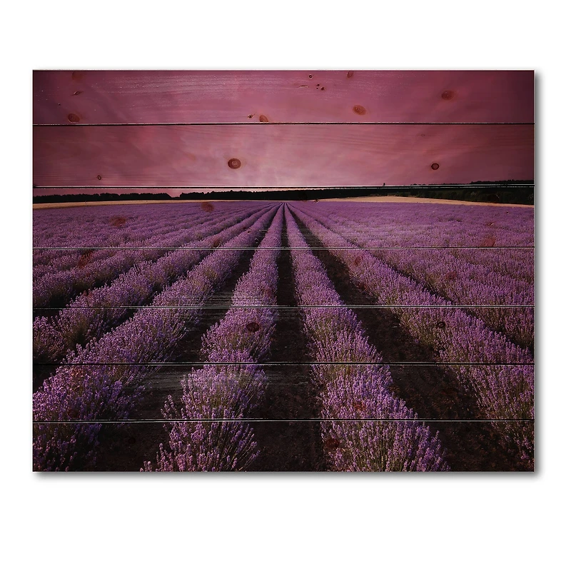 Designart - Sunrise & Dramatic Clouds Over Lavender Field XI