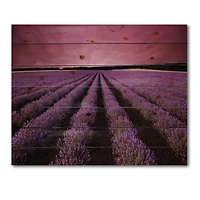 Designart - Sunrise & Dramatic Clouds Over Lavender Field XI