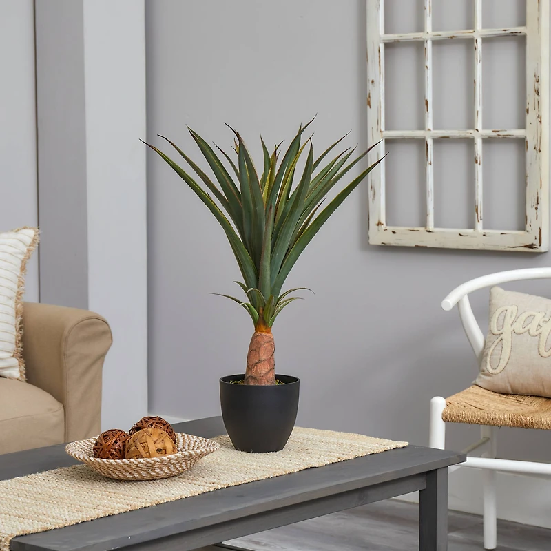 2.5ft. Agave in Black Planter