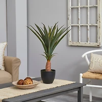 2.5ft. Agave in Black Planter