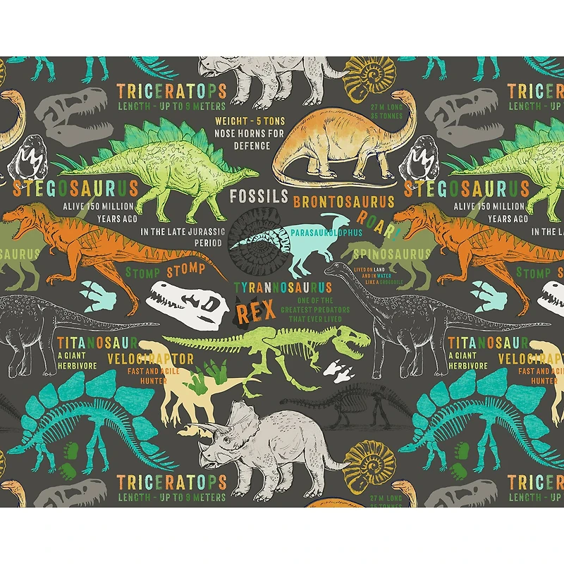 Wall Rogues Dinosaurs Wall Mural